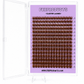 LASH CLUSTER KITS | BLACK & BROWN