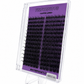 LASH CLUSTER KITS | BLACK & BROWN